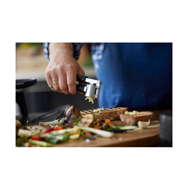 Kuchynský lis - Holm-image-2