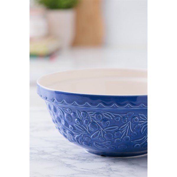 Modrá kameninová misa ø 26 cm Fruits Blueberry – Mason Cash-image-4