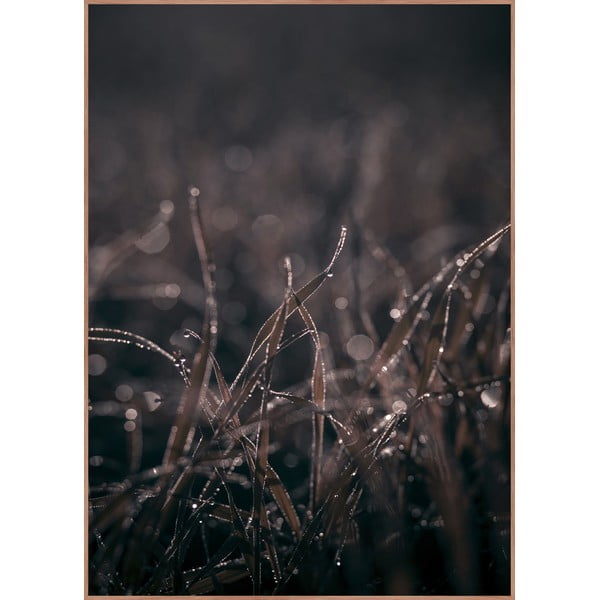 Obraz 50x70 cm Mellow Grasses 5 – Malerifabrikken
