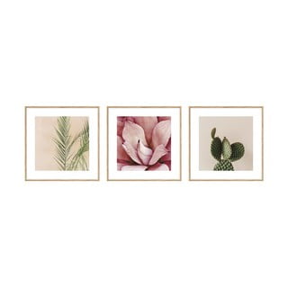Obrazy v súprave 3 ks 22.5x22.5 cm Flowers