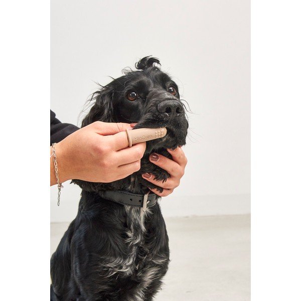 Zubné kefky pre domáceho maznáčika v súprave Dito – MiaCara-image-3