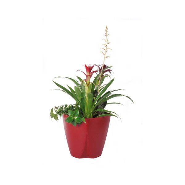 Červený kvetináč Plastia Camay, ø 18,5 cm-image-1