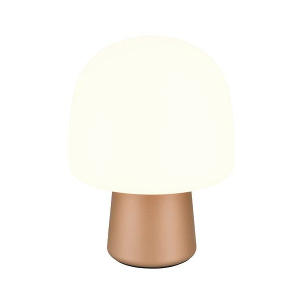 Stolová lampa v bielo-bronzovej farbe so skleneným tienidlom (výška 27 cm) Steen – Trio-image-1