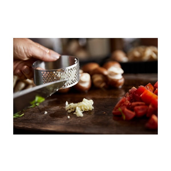 Oceľový lis na cesnak Zone Singles-image-1