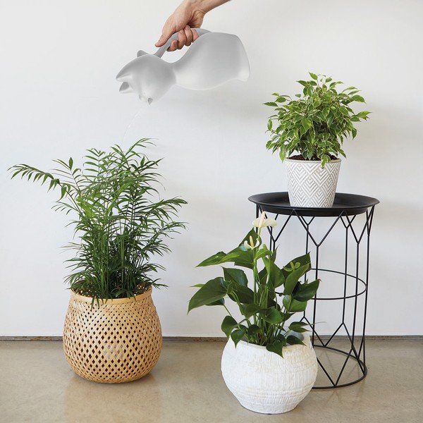 Plastová kanvička na zalievanie 2 l Meow – Balvi-image-1