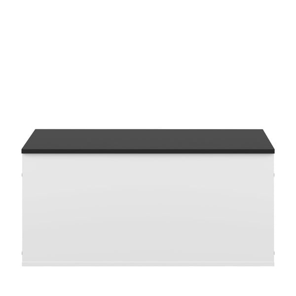 Biela/čierna truhla 89x43 cm Knight – TemaHome