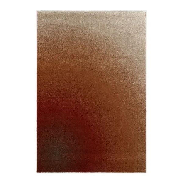Hnedý koberec Calista Rugs Swamp, 200 x 290 cm