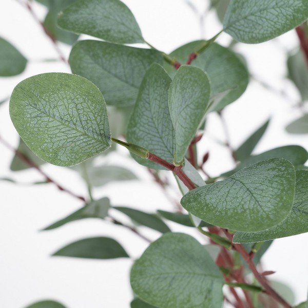 Umelý eukalyptus (výška 180 cm) Eucalyptus – Ixia-image-1