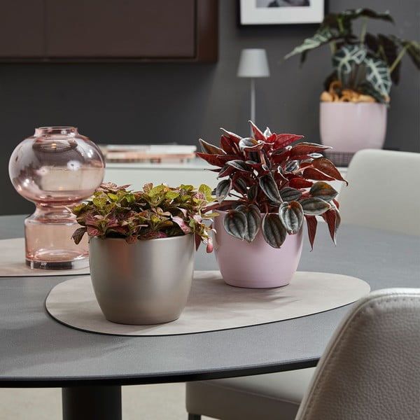 Keramický kvetináč ø 19 cm Basel Elegance - Big pots-image-1