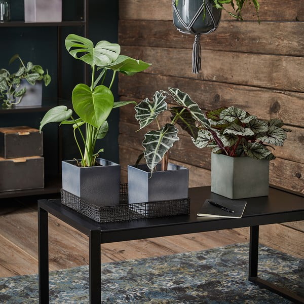 Fialový keramický kvetináč Big pots Latina, 15 x 15 cm-image-1