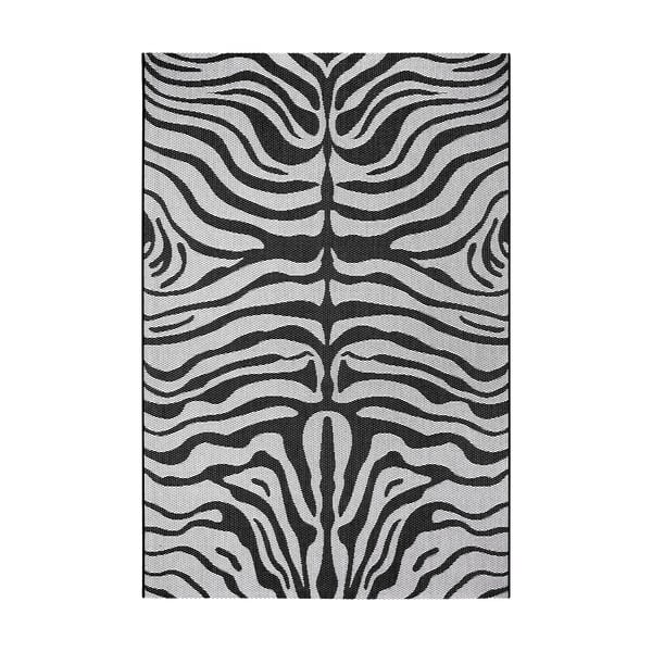 Čierno-sivý vonkajší koberec Ragami Safari, 200 x 290 cm