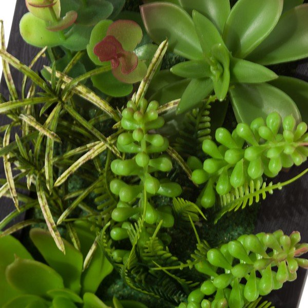 Sada 2 závesných dekorácií v tvare rastúceho kaktusu Unimasa-image-3