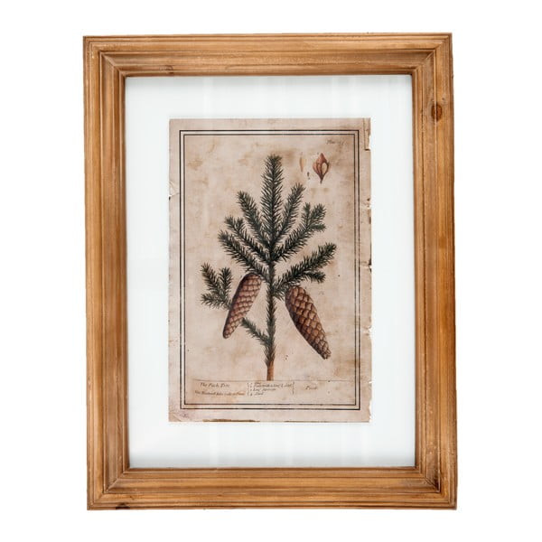 Obraz Clayre & Eef Pine Cones, 36 x 46 cm