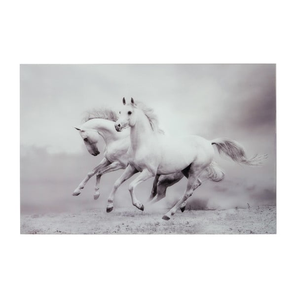 Sklenený obraz Two Horses, 80x120 cm