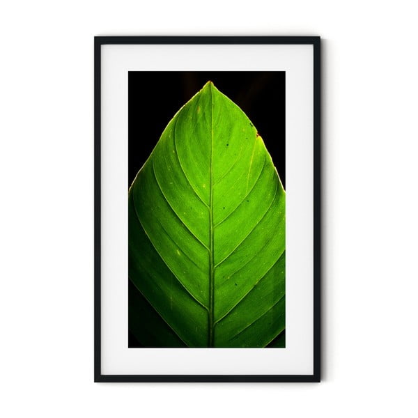 Plagát v ráme Insigne Leaf, 46 x 72 cm