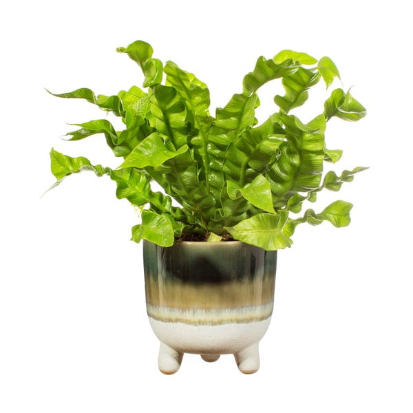 Zelený kvetináč Sass & Belle Bohemian Home Mojave, ø 11,7 cm-image-2