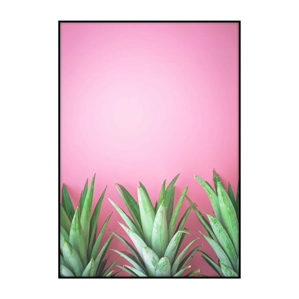 Plagát Imagioo Three Pineapples, 40 × 30 cm