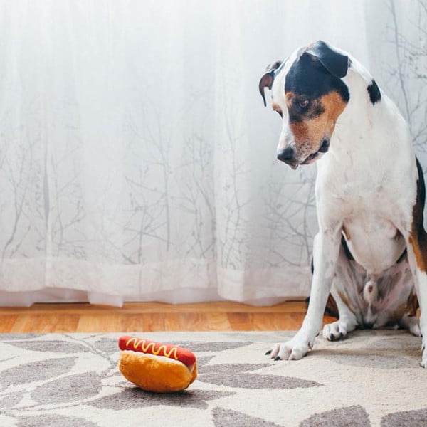 Hračka pre psa Hot Dog – P.L.A.Y.-image-1