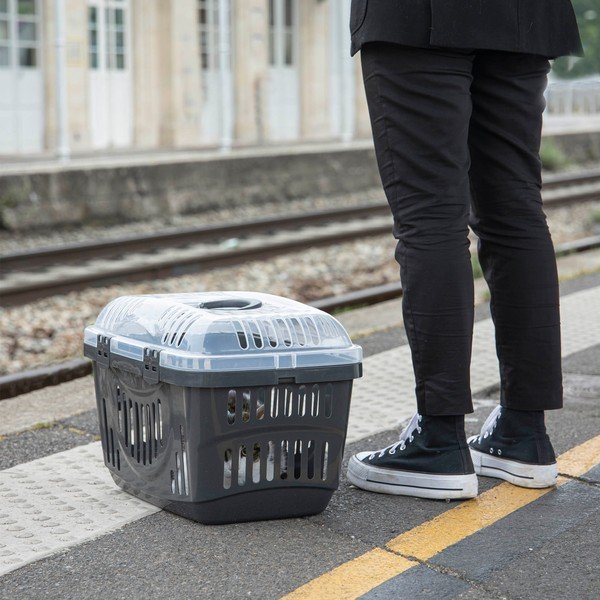 Prepravka pre domáceho miláčika 33x49 cm – Love Story-image-1