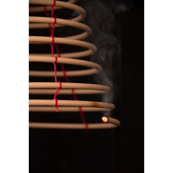 Závesný odpudzovač komárov Esschert Design-image-2