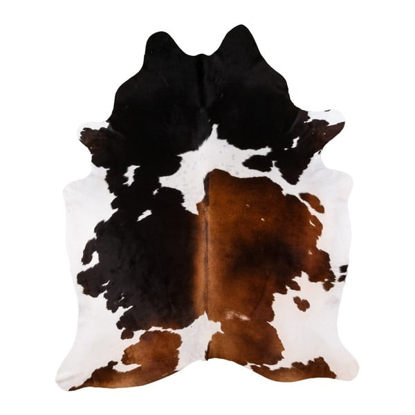Pravá hovädzia koža Arctic Fur Tricolor, 237 × 211 cm