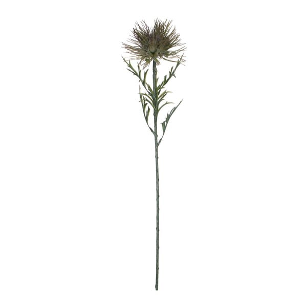 Umelá kvetina zelená Ego Dekor Protea, výška 71 cm