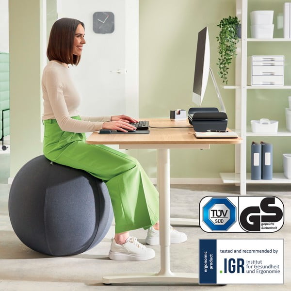 Ergonomická sedacia lopta so závažím ø 65 cm Ergo – Leitz-image-4