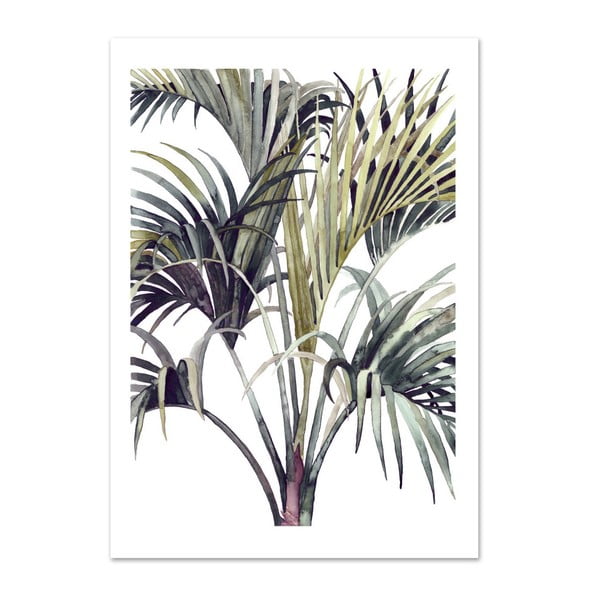 Plagát Leo La Douce Wild Palm, 21 x 29,7 cm