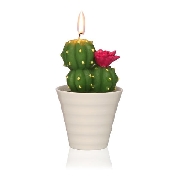 Dekoratívna sviečka v tvare kaktusu Versa Cactus Fila