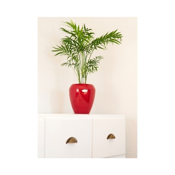 Červený samozavlažovací kvetináč Plastia Calimera Camay, ø 17 cm-image-1