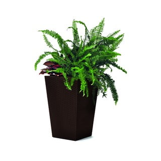 Sivý záhradný kvetináč Keter Kind, výška 44 cm