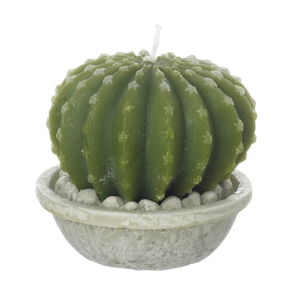 Sviečka Heaven Sends Cactus in Pot