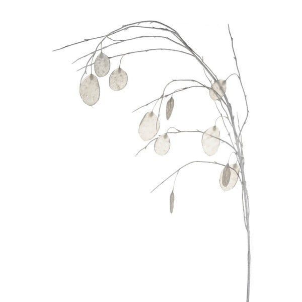 Dekoratívna vetvička Parlane Honesty, dĺžka 123 cm
