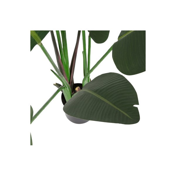 Umelá strelícia (výška  164 cm) – WOOOD-image-2