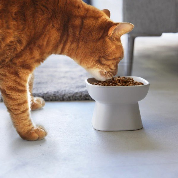 Keramická miska pre domáceho maznáčika Tower – YAMAZAKI-image-1