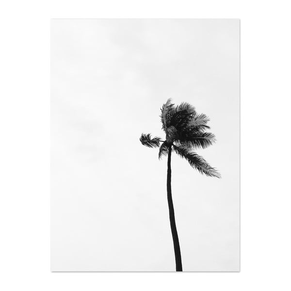 Plagát HF Living Botanic Palms, 30 × 40 cm