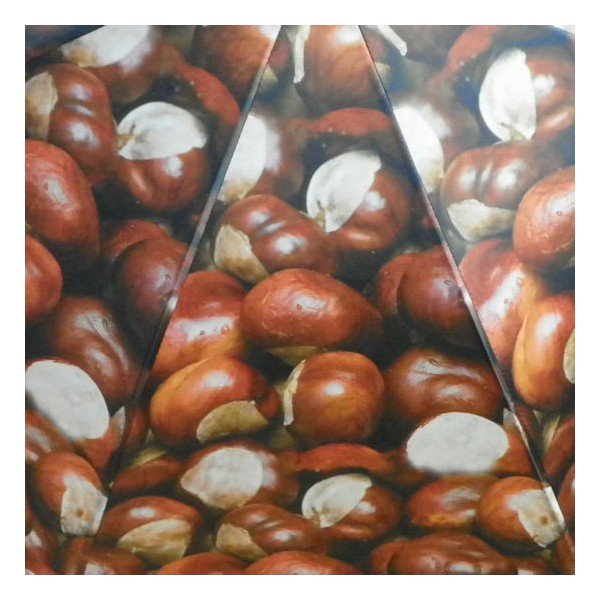 Dáždnik Chestnust All Over-image-3