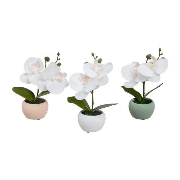 Umelé rastliny v súprave 3 ks (výška 15 cm) Orchid – Casa Selección