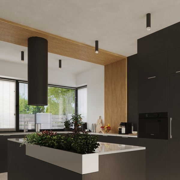 Stropné svietidlo v čierno-striebornej farbe Crown – Sollux-image-4