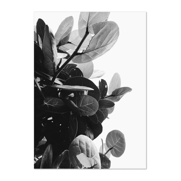 Plagát HF Living Botanic Bush, 50 × 70 cm