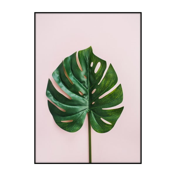 Plagát Imagioo Monstera Leaf, 40 × 30 cm