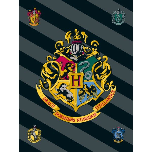 Fleecová detská deka 100x150 cm Harry Potter – Jerry Fabrics