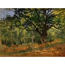 Reprodukcia obrazu Claude Monet - The Bodmer Oak, Fontainebleau Forest, 70 × 50 cm