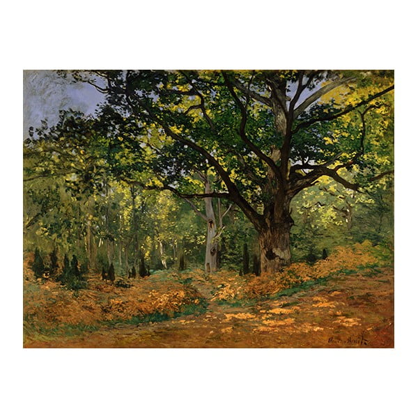 Reprodukcia obrazu Claude Monet - The Bodmer Oak, Fontainebleau Forest, 70 × 50 cm