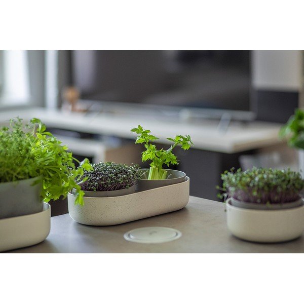Plastová klíčiaca miska Microgreens + Regrow – Plastia-image-2