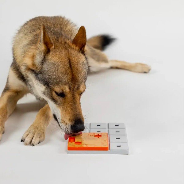 Hlavolam pre psov Terra – Pawzler-image-2