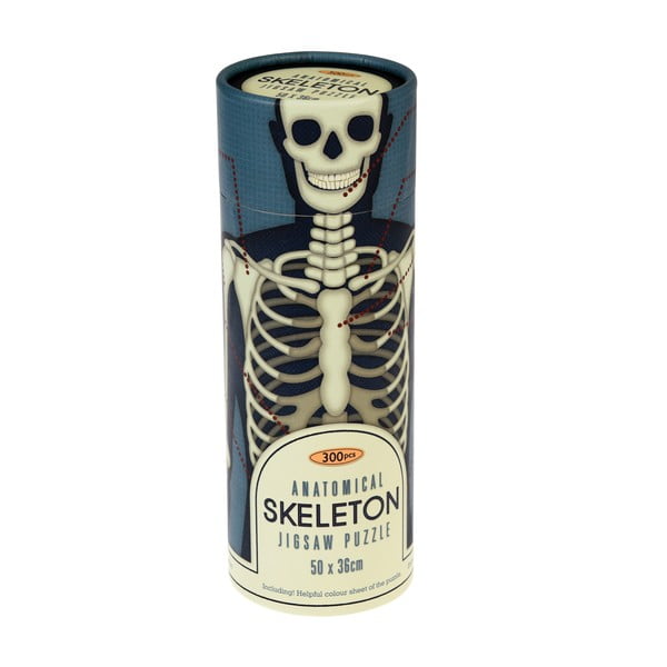 Puzzle v tube Rex London Anatomical Skeleton