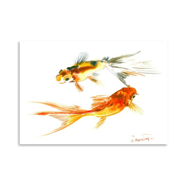 Plagát Goldfish Koi