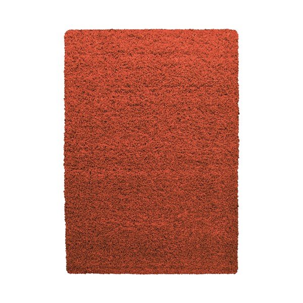 Koberec v terakotovej farbe 160x230 cm Life – Ayyildiz Carpets