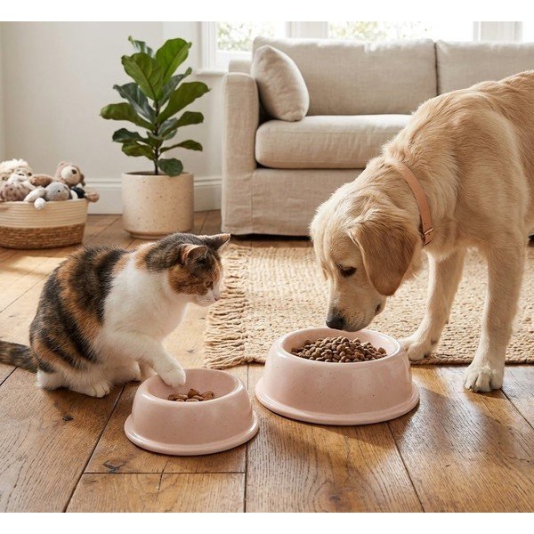 Kameninová miska pre domáceho miláčika ø 21 cm – Casafina-image-1